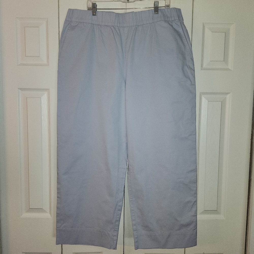 ON 34th-Frozen Blue Straight Leg High-Rise‎ Ankle-NWT - 2X